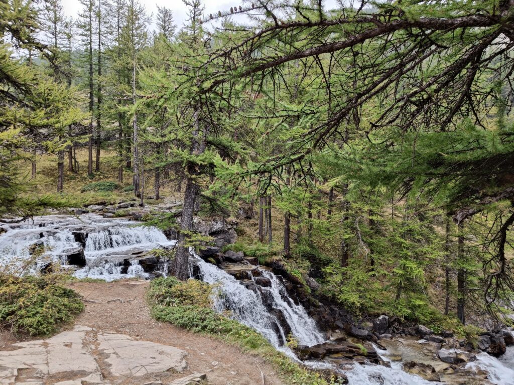 La chute d'eau